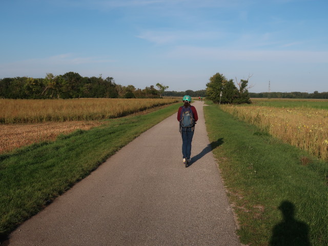 Sabine zwischen M&uuml;nchendorf und Himberg