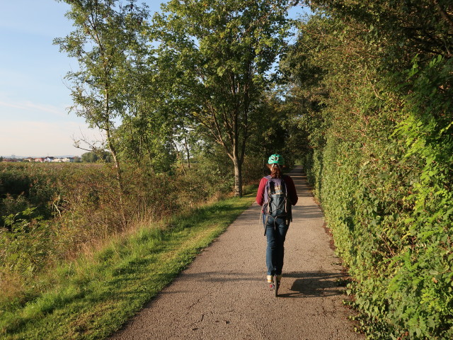Sabine zwischen M&uuml;nchendorf und Himberg