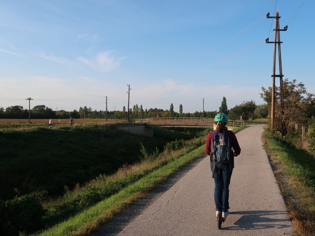 Sabine zwischen Himberg und Pellendorf