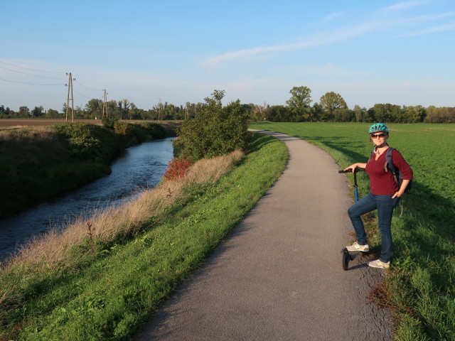 Sabine zwischen Pellendorf und Zw&ouml;lfaxing