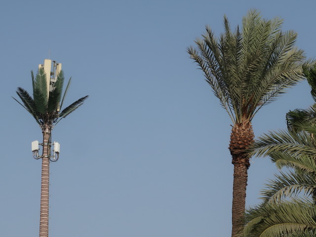 bei der Mosquée Koutoubia (1. Okt.)