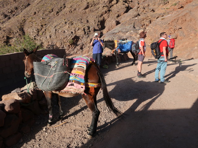 Lars, Ronald, Andreas und Petra in Matate (27. Sep.)
