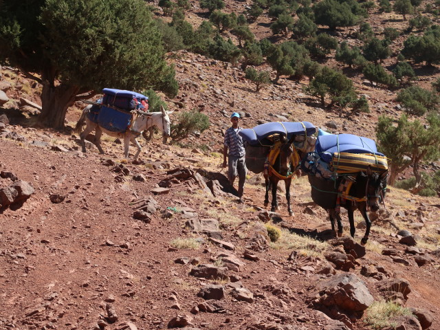 zwischen Tizi Oudite und Ait Aissa (27. Sep.)