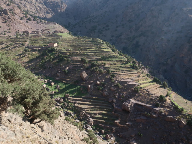 zwischen Assif und Azib Tamsoult (27. Sep.)