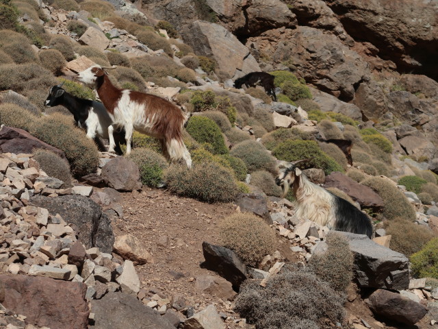 bei Sidi Chamharouch (30. Sep.)