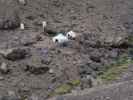 beim Rifuge Toubkal Les Mouflons (28. Sep.)