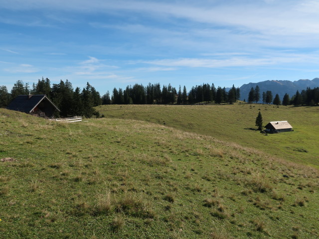 Brombergalm, 1.430 m