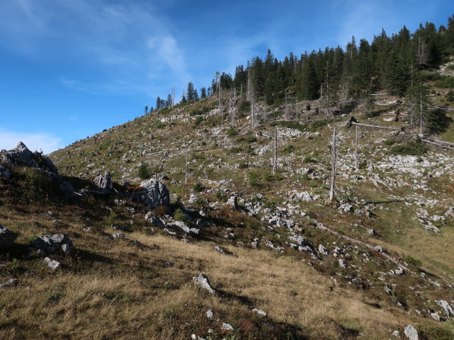 zwischen Hochglegt und Kotalm