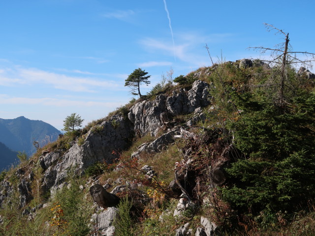 zwischen Kotalm und M&ouml;selwiesen