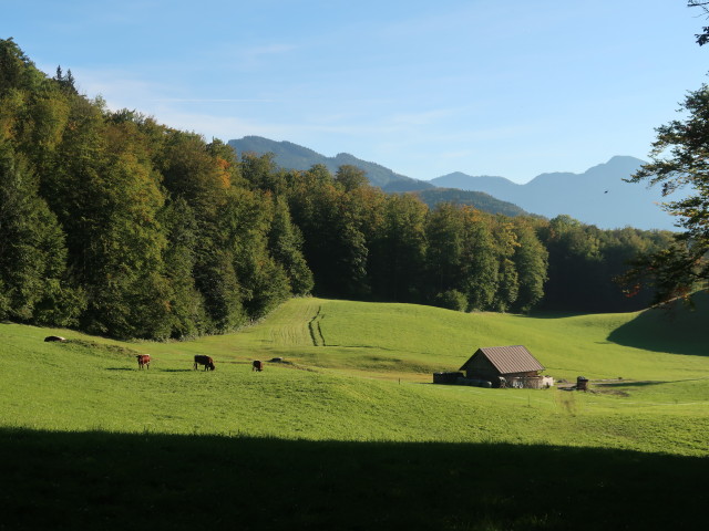 zwischen M&ouml;selwiesen und Rettenbach