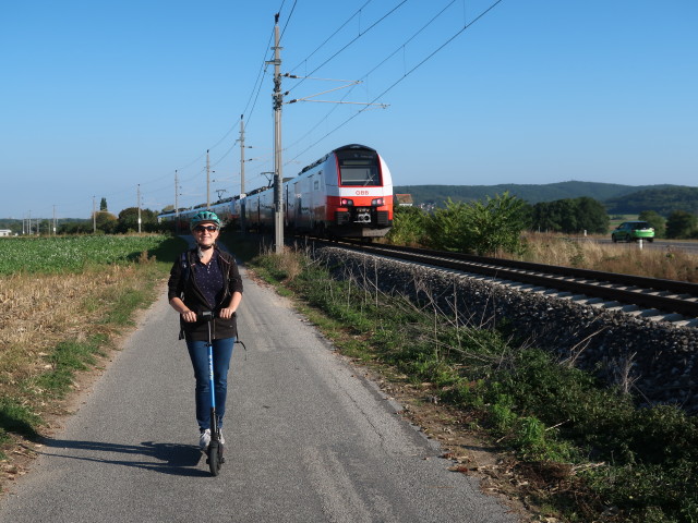 Sabine zwischen Wolfsthal und Hainburg