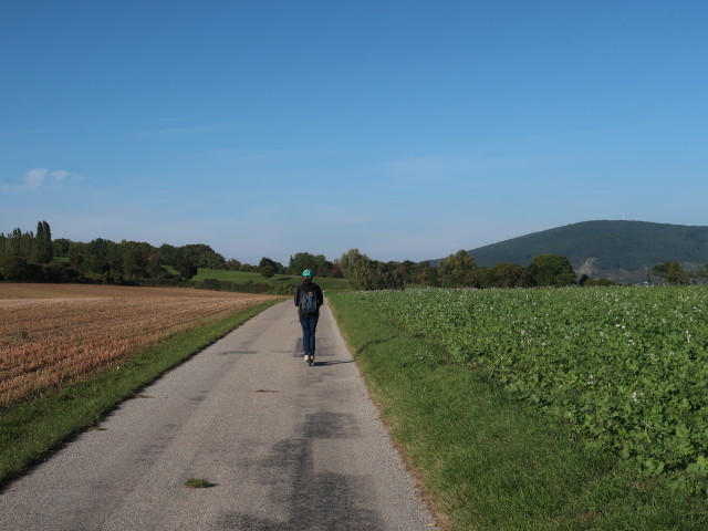 Sabine zwischen Wolfsthal und Hainburg