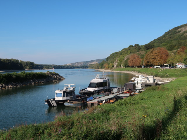 Donau bei Hainburg