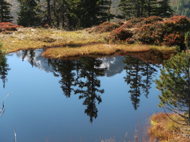 zwischen Spie&szlig;n&auml;geln und Rettensteinjoch (9. Okt.)