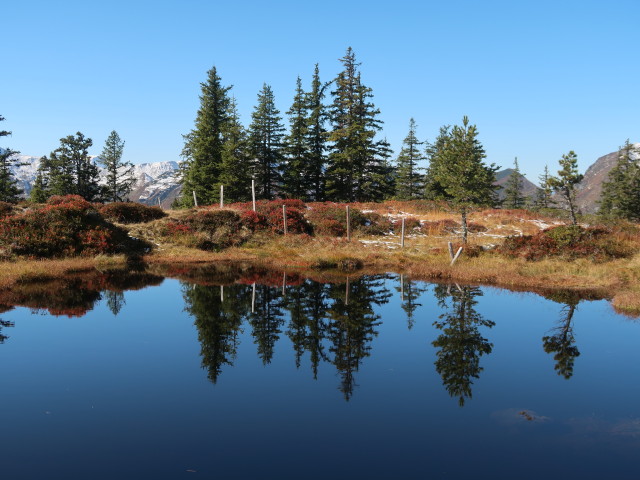 zwischen Spie&szlig;n&auml;geln und Rettensteinjoch (9. Okt.)