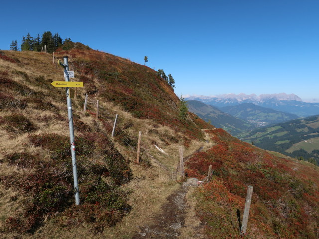 zwischen Spie&szlig;n&auml;geln und Rettensteinjoch (9. Okt.)