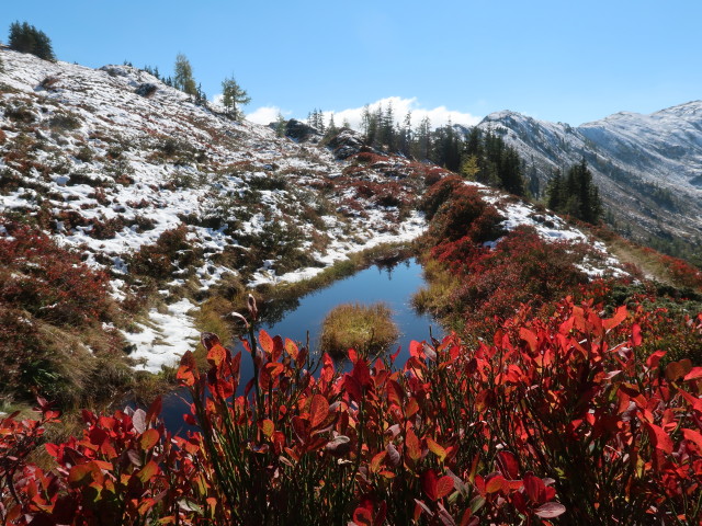 zwischen Spie&szlig;n&auml;geln und Rettensteinjoch (9. Okt.)