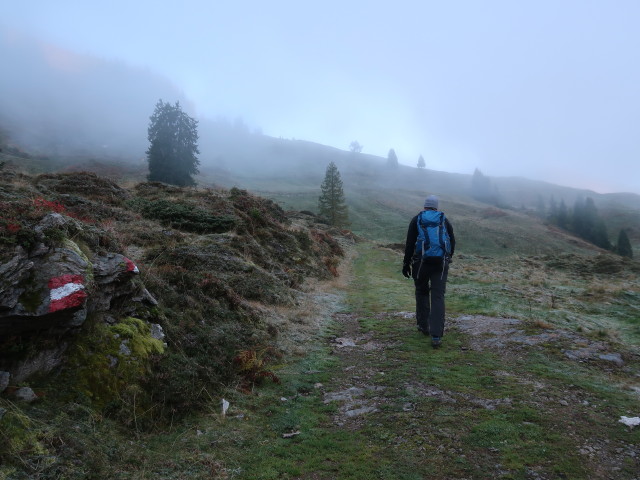Frank zwischen Labalm und Haglangeralm (10. Okt.)