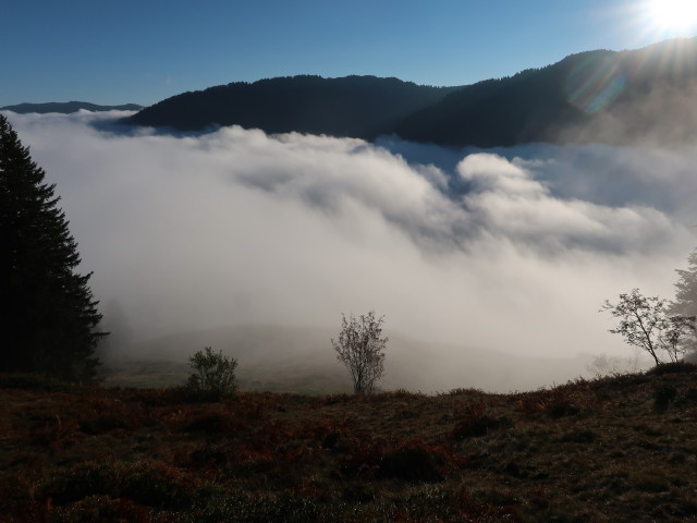 zwischen Haglangeralm und Gerstinger Joch (10. Okt.)