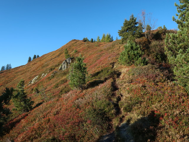 zwischen Haglangeralm und Gerstinger Joch (10. Okt.)