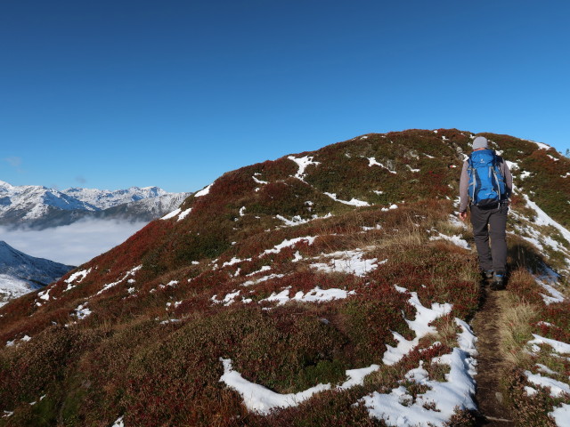 Frank zwischen Haglangeralm und Gerstinger Joch (10. Okt.)