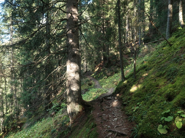 zwischen Fleidingalm und Alpenrosehütte (10. Okt.)