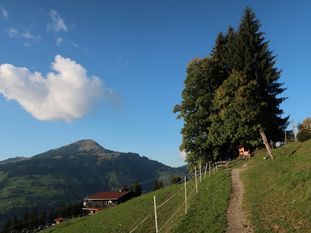 zwischen Berggasthaus Stimmlach und Ellmau (10. Okt.)