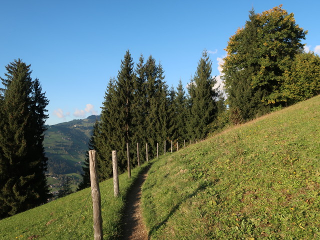 zwischen Ellmau und Zieplh&ouml;fe (10. Okt.)