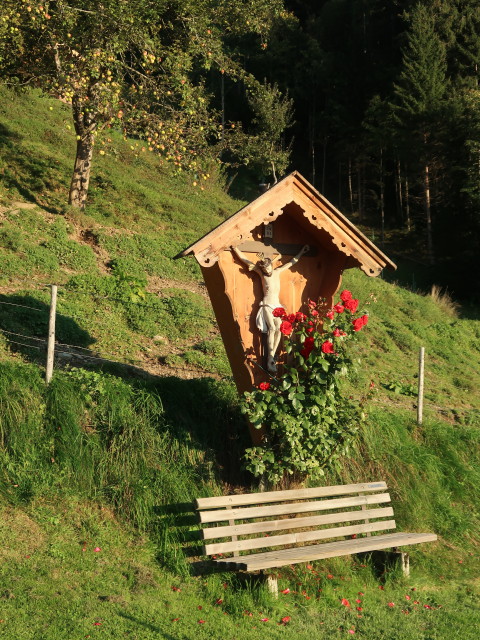 bei den Zieplh&ouml;fen (10. Okt.)