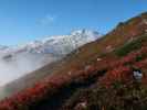 zwischen Haglangeralm und Gerstinger Joch (10. Okt.)