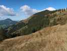 zwischen Fleidingalm und Alpenrosehütte (10. Okt.)