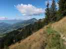 zwischen Fleidingalm und Alpenrosehütte (10. Okt.)