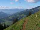 zwischen Fleidingalm und Alpenrosehütte (10. Okt.)