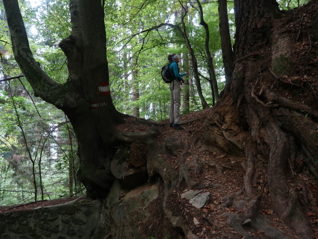 Larissa zwischen Annenheim und Jagdh&uuml;tte H&uuml;tter