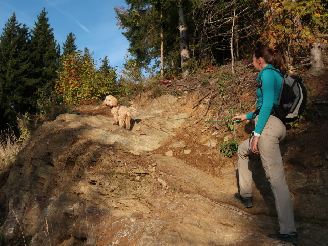 Larissa zwischen Annenheim und Jagdh&uuml;tte H&uuml;tter