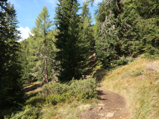 zwischen Observatorium Kanzelh&ouml;he und Gerlitzen