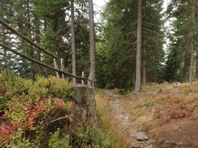 zwischen Schlossbaueralm und Steinwenderh&uuml;tte