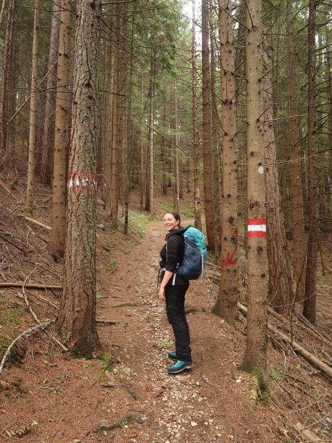 Sabine zwischen Haringgraben und Windscharte