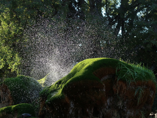 Fontana s kornjacama in Sibenik (27. Okt.)