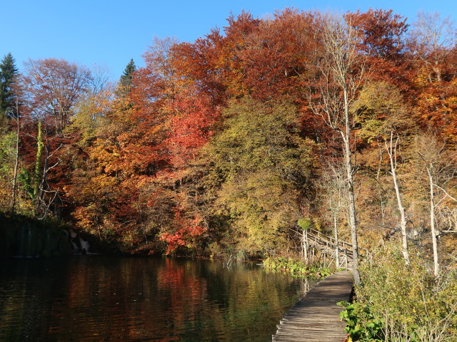 zwischen Kozjak und Gradinsko jezero im Nacionalni park Plitvicka jezera (30. Okt.)
