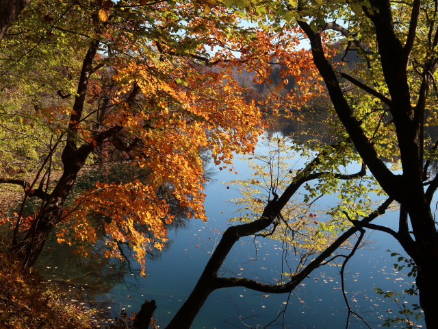 Galovac im Nacionalni park Plitvicka jezera (30. Okt.)