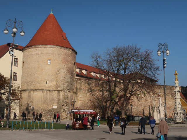 Nadbiskupijski pastoralni institut in Zagreb (31. Okt.)