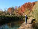 Sabine zwischen Kozjak und Gradinsko jezero im Nacionalni park Plitvicka jezera (30. Okt.)