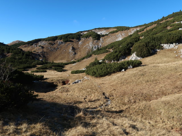 zwischen Knopperwiese und Michlbauerhütte