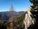 zwischen Lechnergraben und Schneealpenhaus