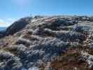 zwischen Michlbauerhütte und Windberg