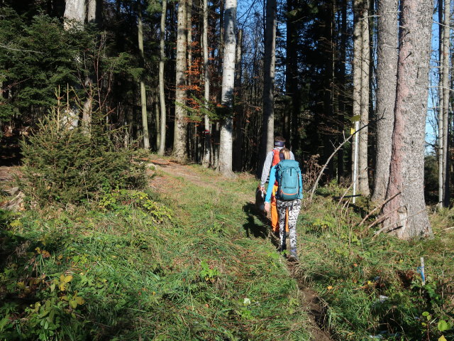 Georg und Sarah zwischen Leiten und St. Koloman