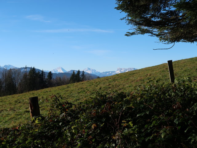 zwischen Leiten und St. Koloman