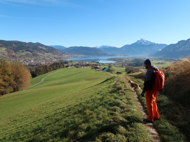 Georg zwischen St. Koloman und Leiten