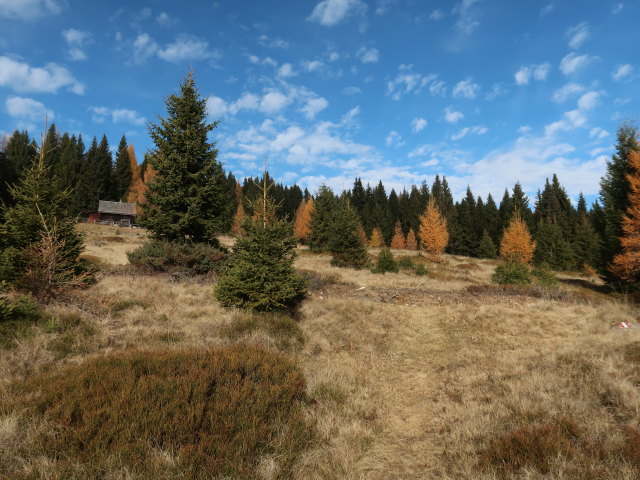 Berglasteig zwischen Hoferalm und Halterhütte